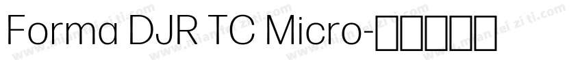 Forma DJR TC Micro字体转换